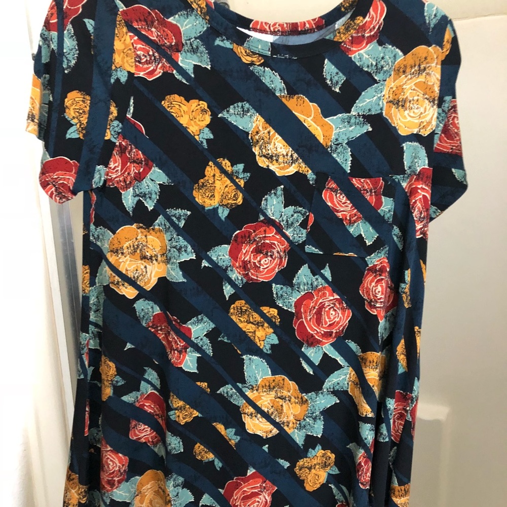 Lularoe striped Rose Carly Dress